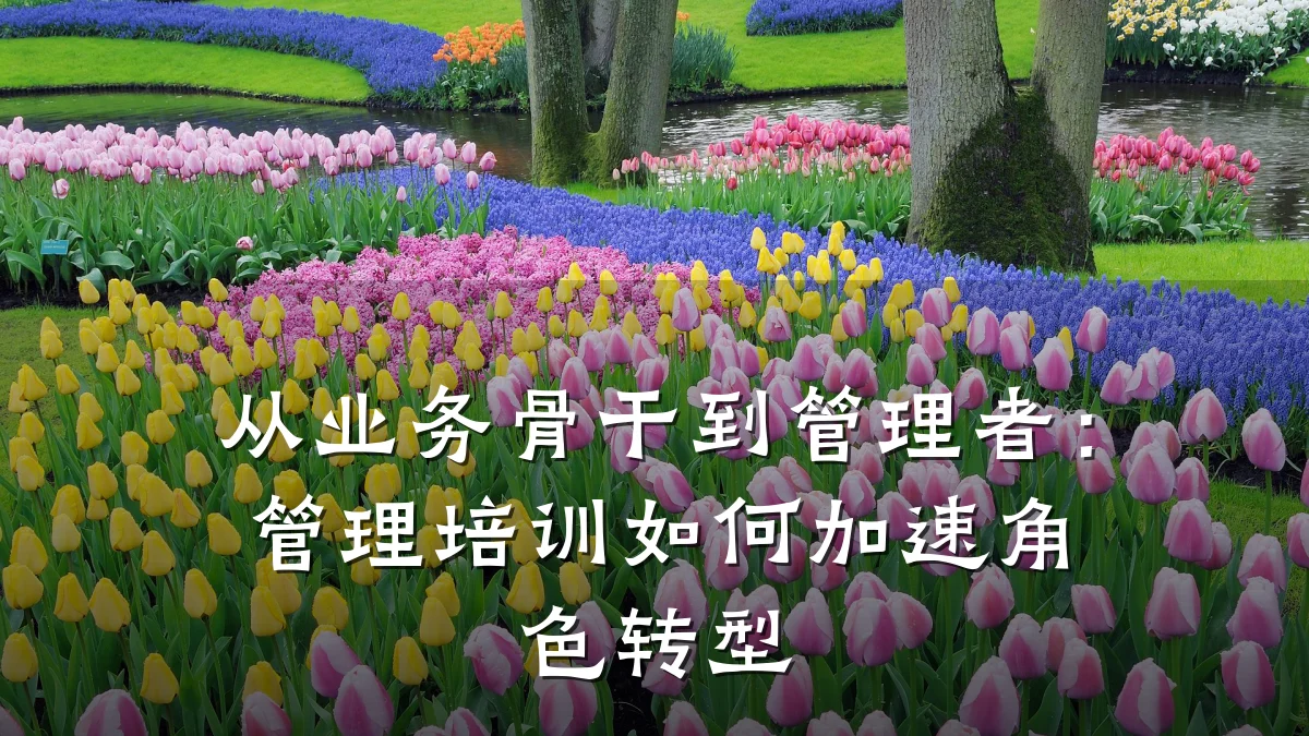 从业务骨干到管理者:管理培训如何加速角色转型