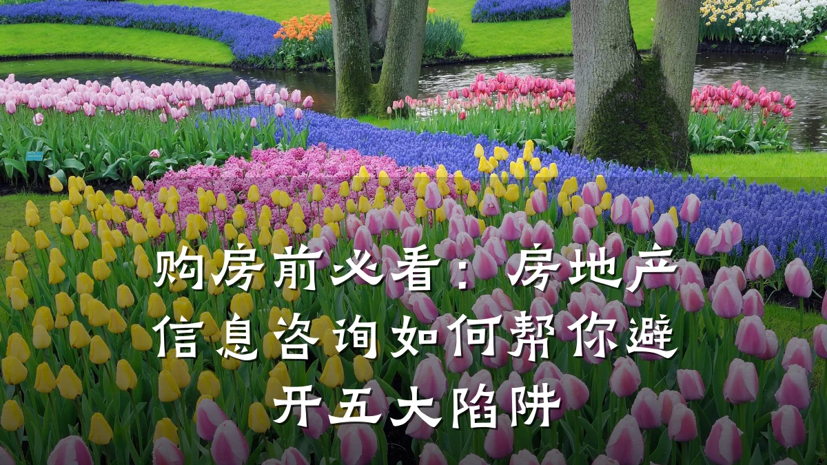 购房前必看:房地产信息咨询如何帮你避开五大陷阱