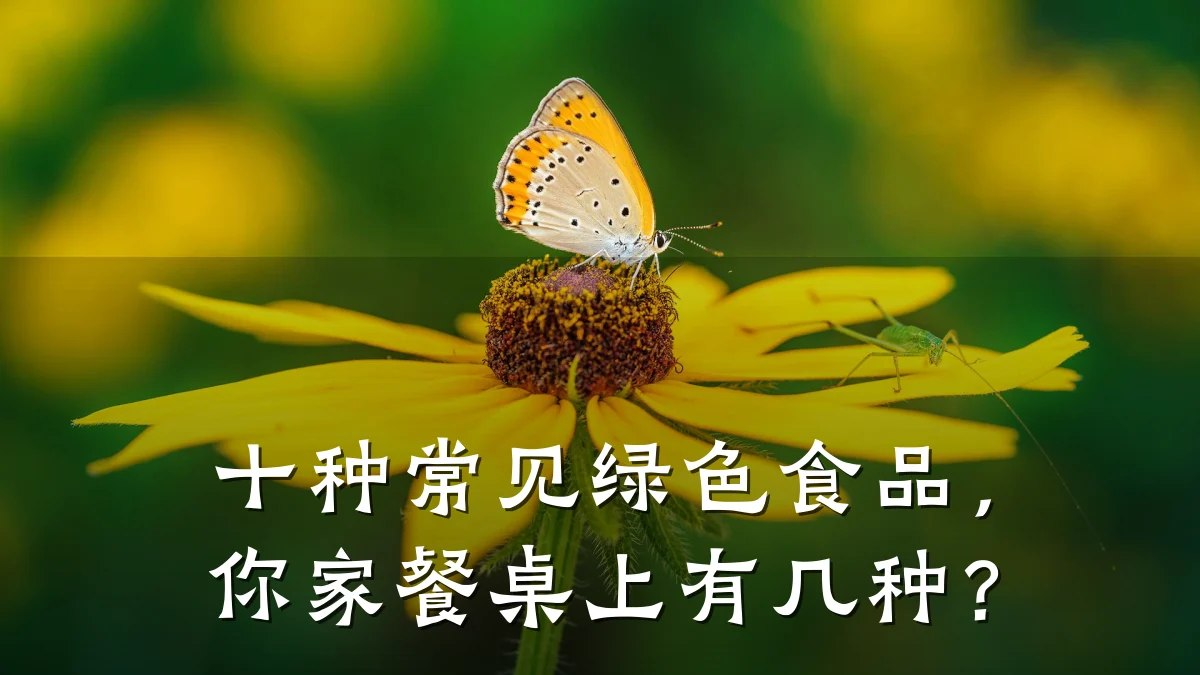 十种常见绿色食品,你家餐桌上有几种?