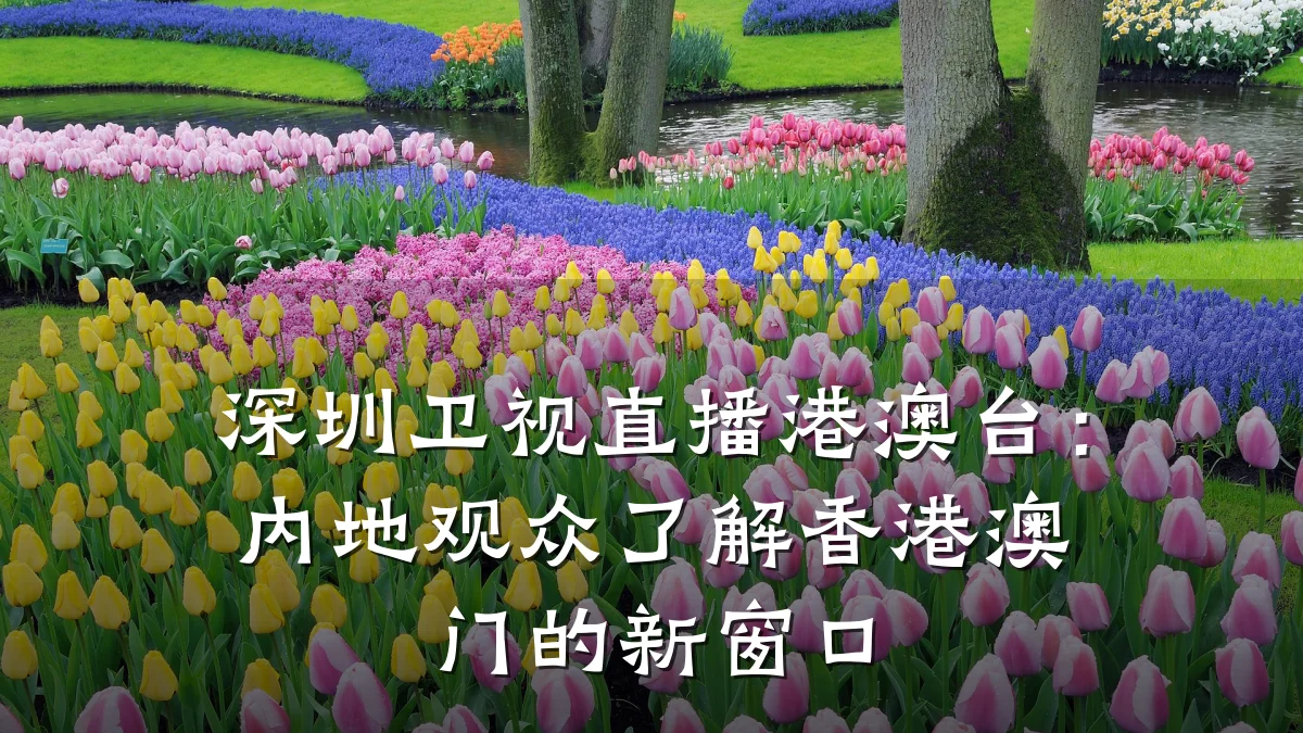 深圳卫视直播港澳台:内地观众了解香港澳门的新窗口