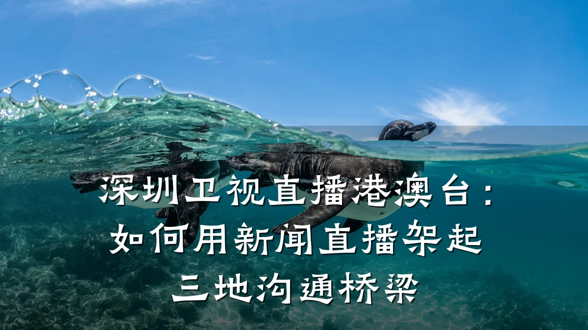 深圳卫视直播港澳台:如何用新闻直播架起三地沟通桥梁