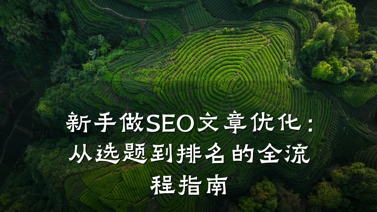 新手做SEO文章优化：从选题到排名的全流程指南