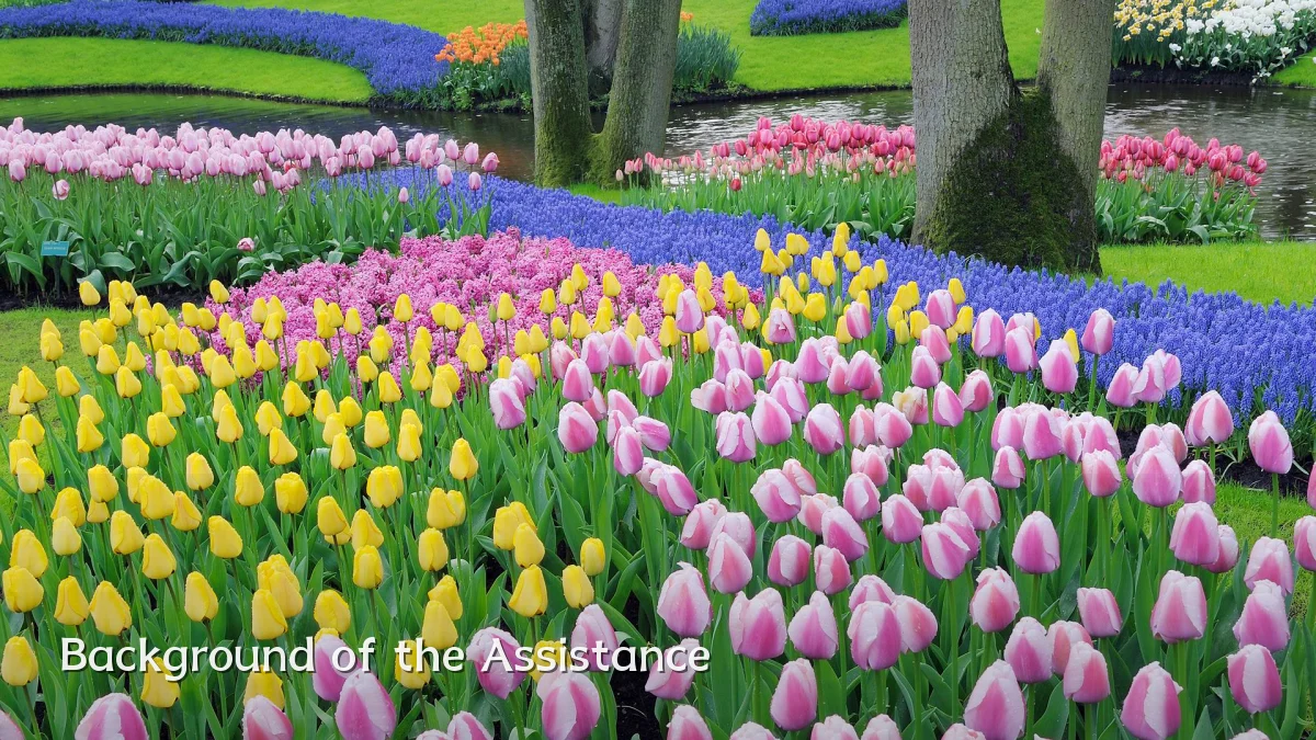 Background of the Assistance