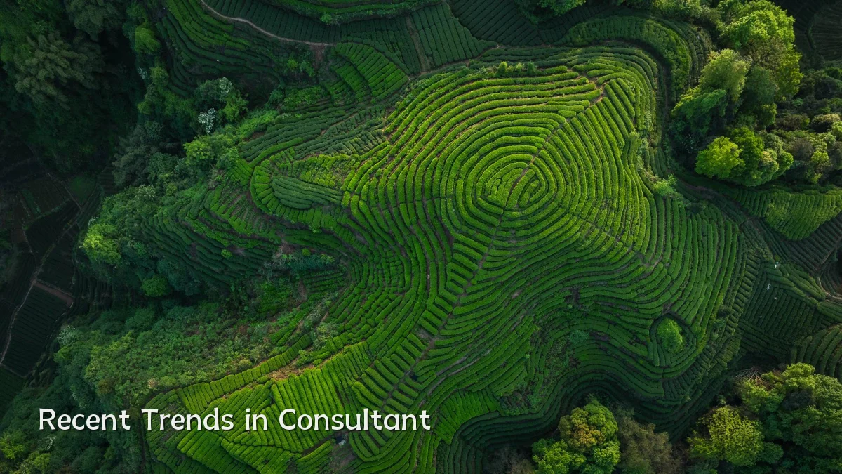 Recent Trends in Consultant