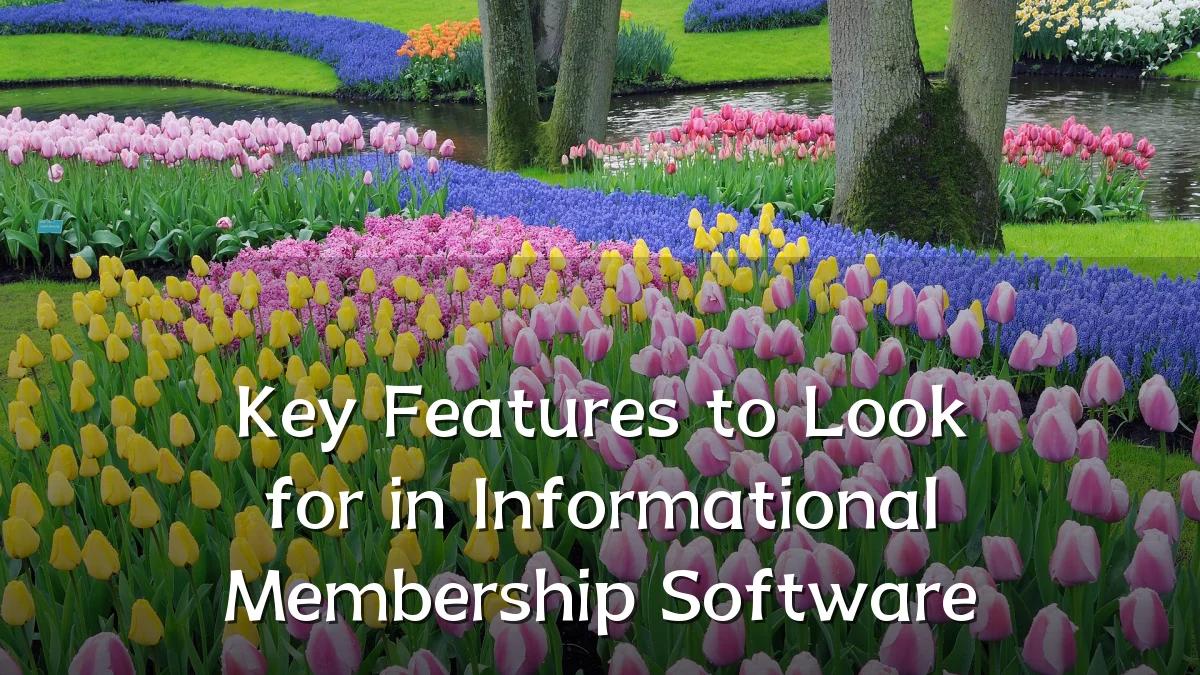 Key Features to Look for in Informational Membership Software