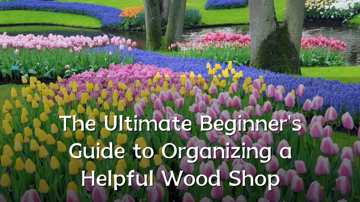 The Ultimate Beginner's Guide to Organizing a Helpful Wood Shop