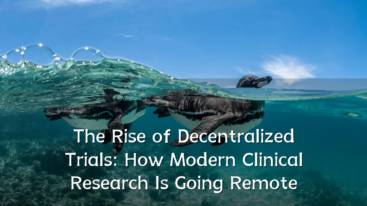 The Rise of Decentralized Trials: How Modern Clinical Research Is Going Remote