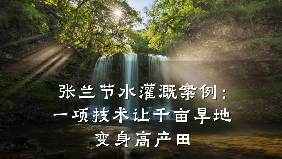 张兰节水灌溉案例:一项技术让千亩旱地变身高产田