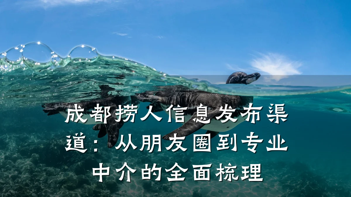 成都捞人信息发布渠道：从朋友圈到专业中介的全面梳理