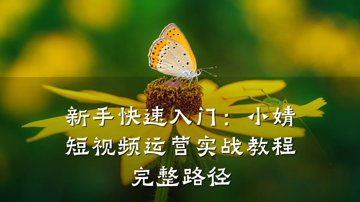 新手快速入门：小婧短视频运营实战教程完整路径