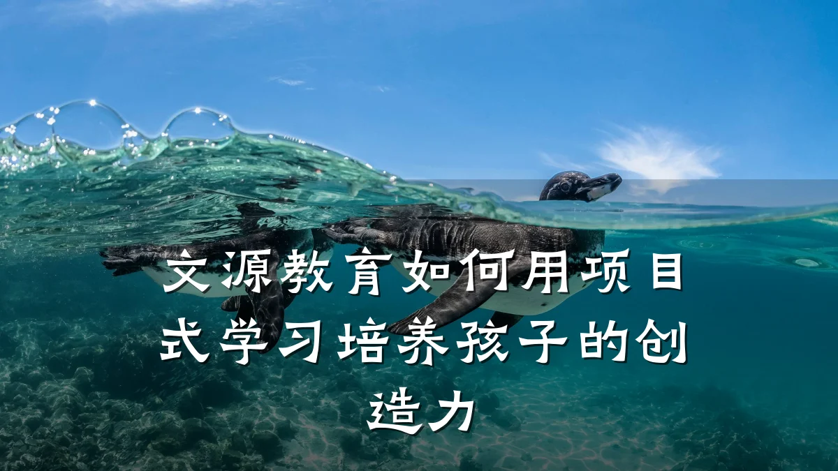 文源教育如何用项目式学习培养孩子的创造力