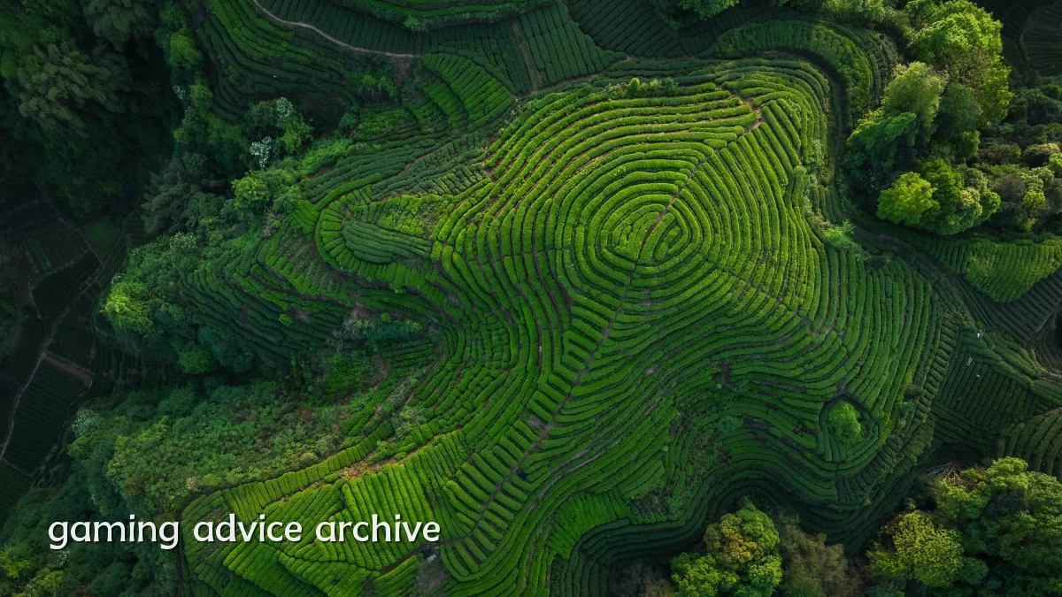 gaming advice archive