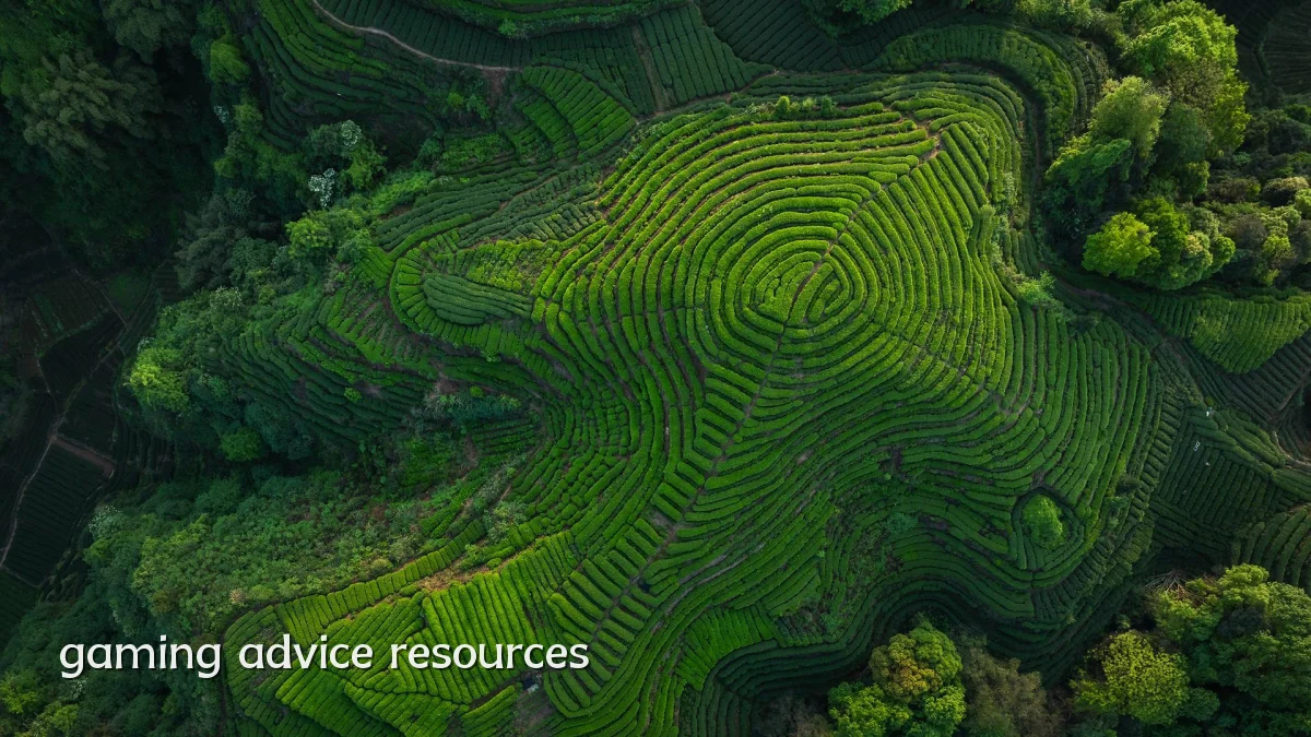 gaming advice resources