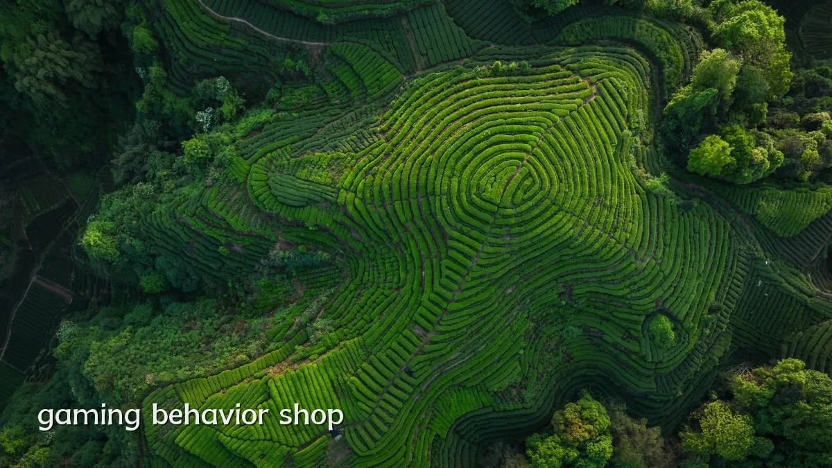 gaming behavior shop