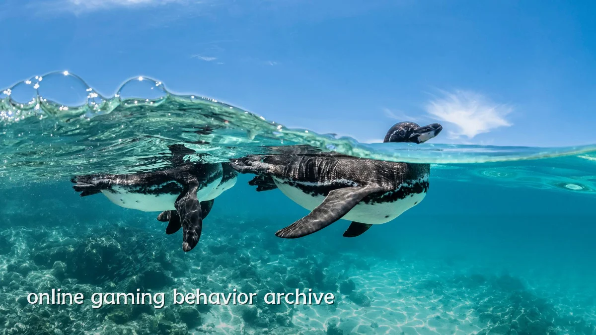 online gaming behavior archive