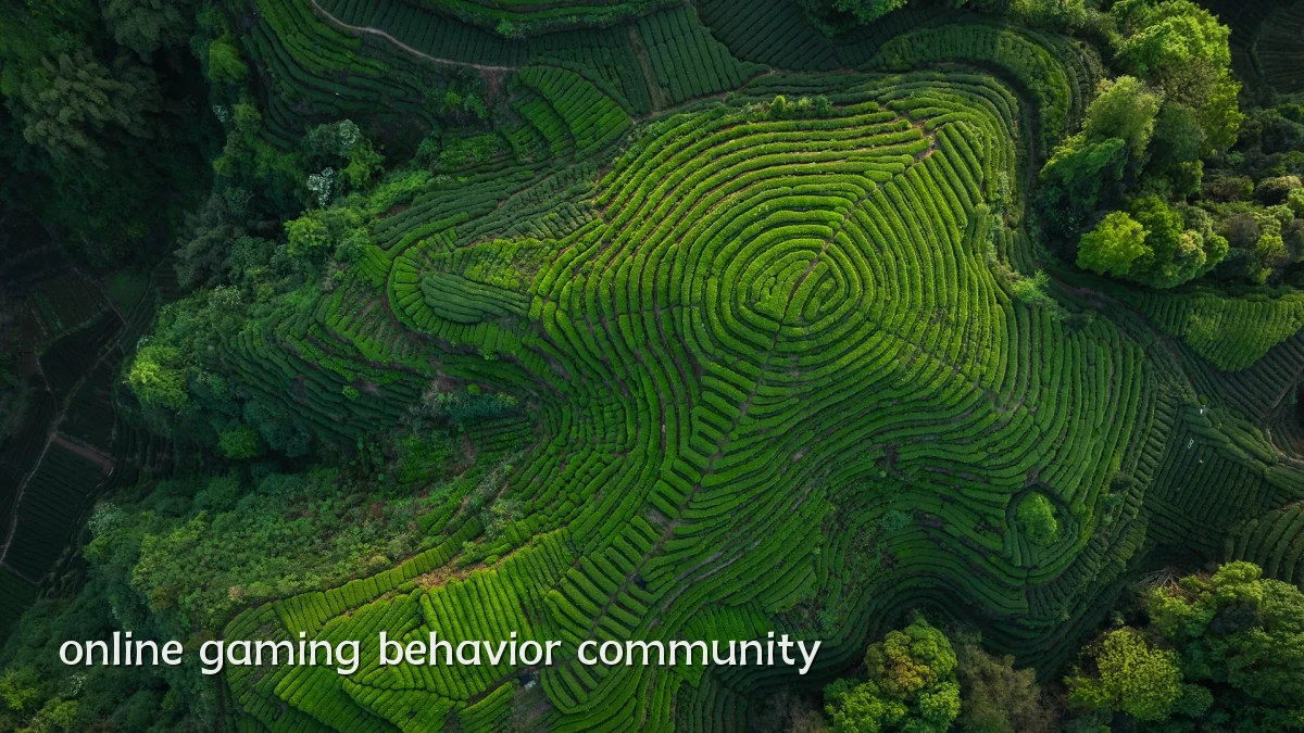 online gaming behavior community