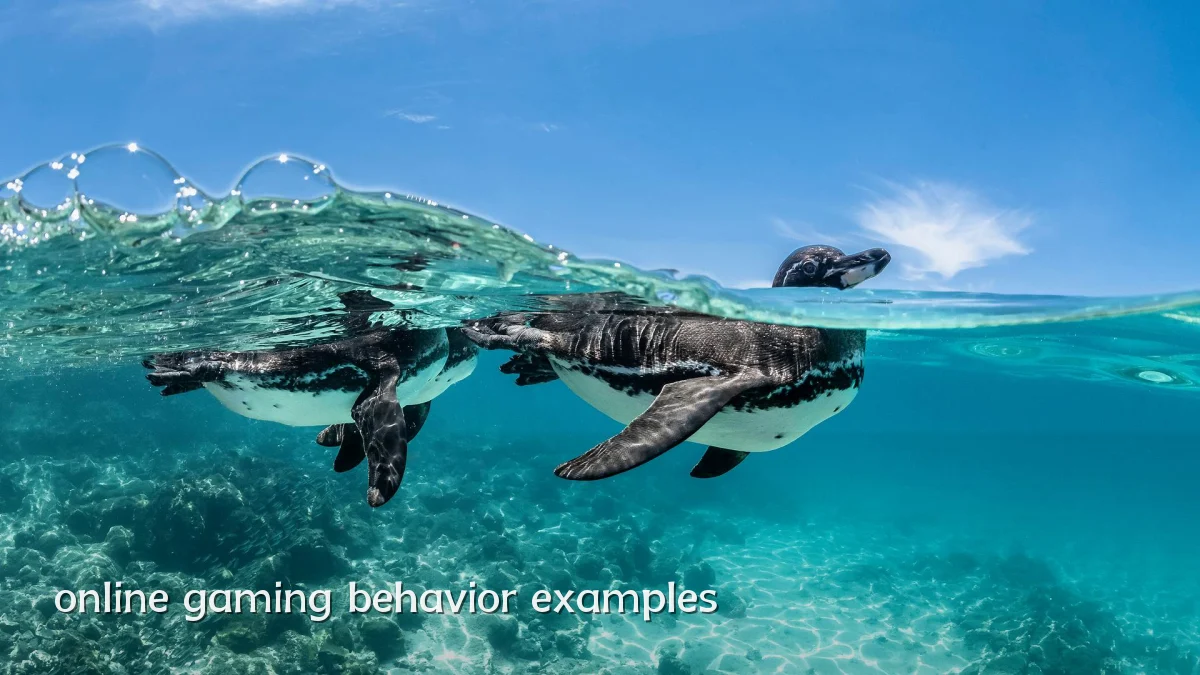 online gaming behavior examples