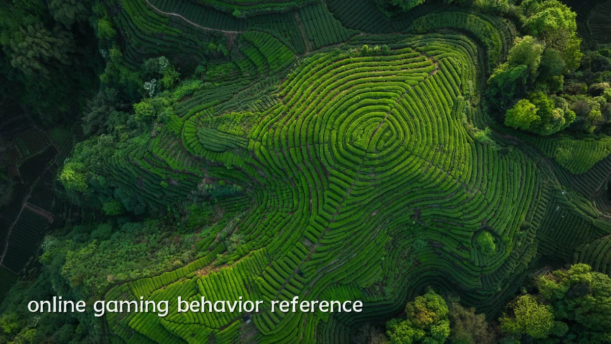 online gaming behavior reference