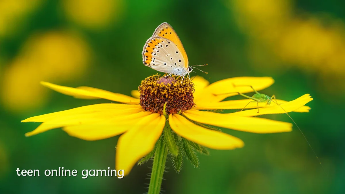 teen online gaming