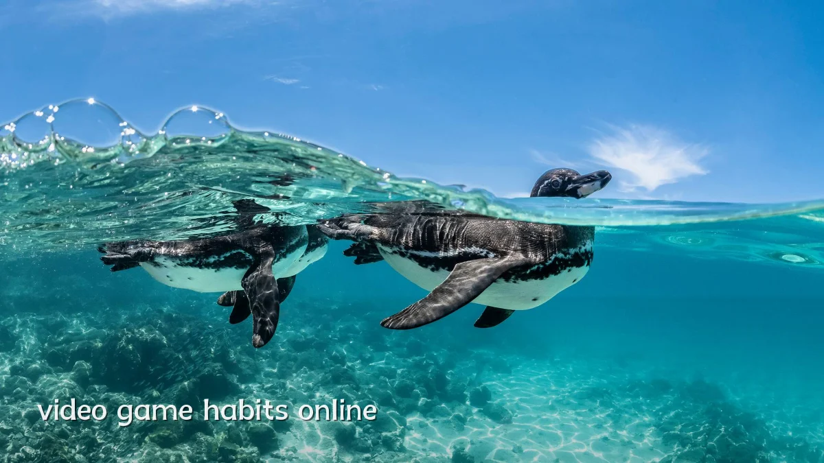 video game habits online