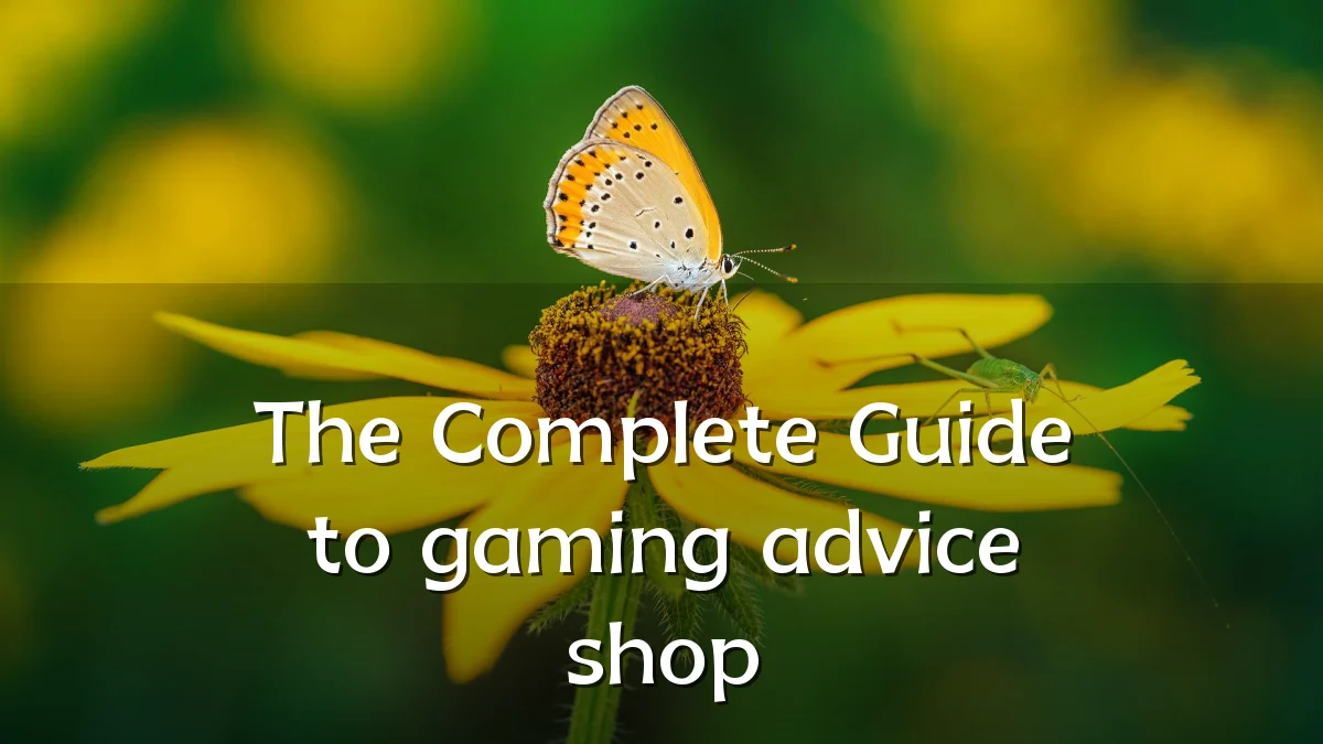 The Complete Guide to gaming advice shop