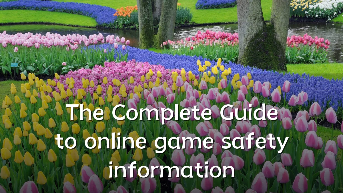 The Complete Guide to online game safety information