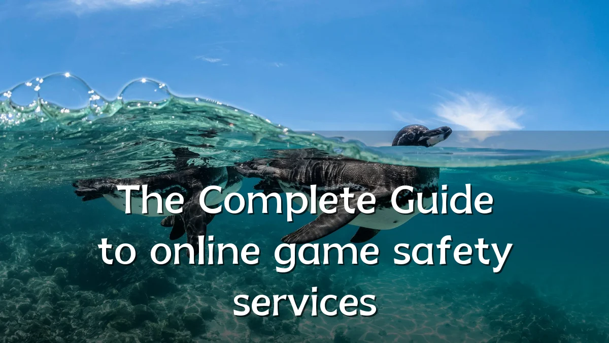 The Complete Guide to online game safety services