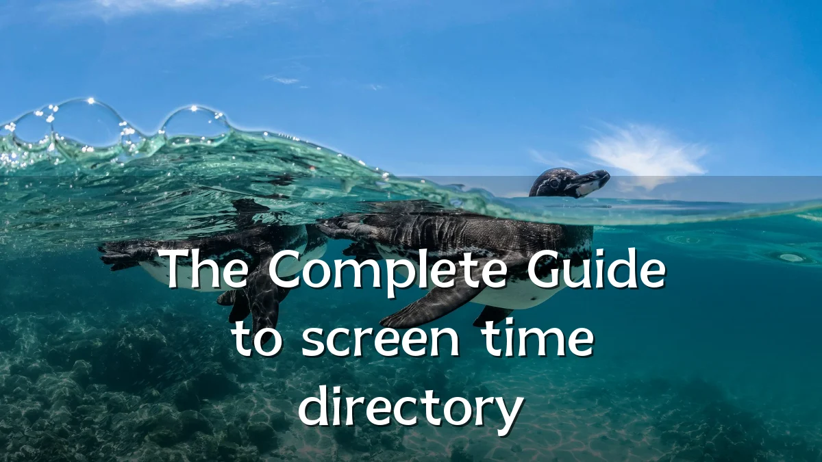 The Complete Guide to screen time directory
