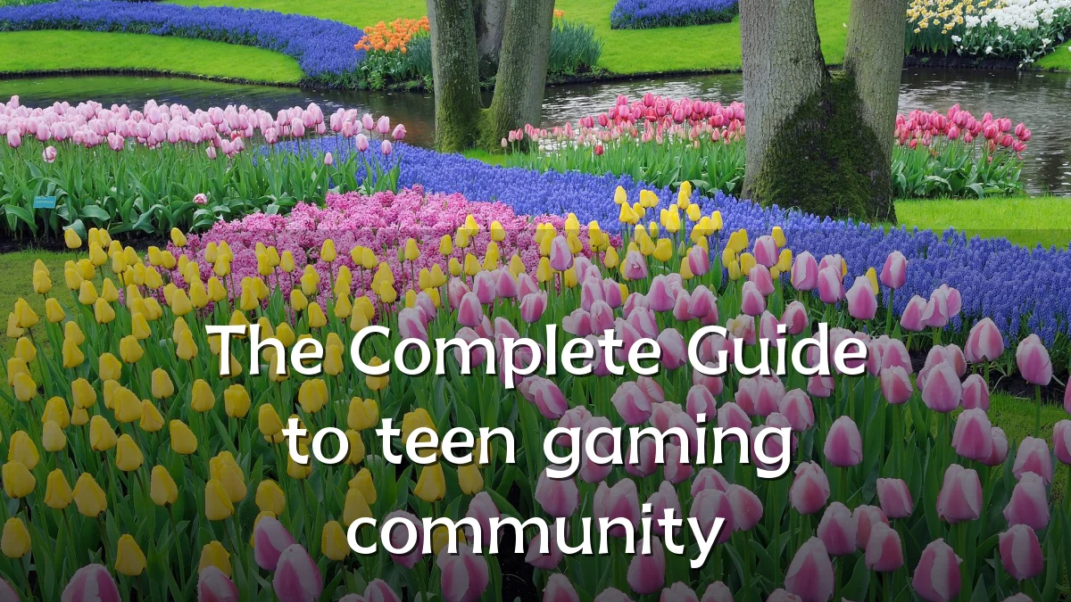 The Complete Guide to teen gaming community