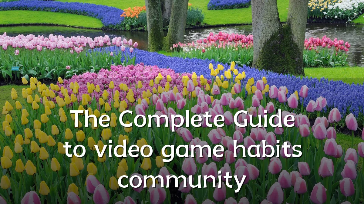 The Complete Guide to video game habits community