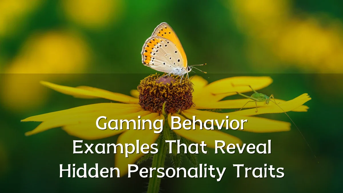 Gaming Behavior Examples That Reveal Hidden Personality Traits