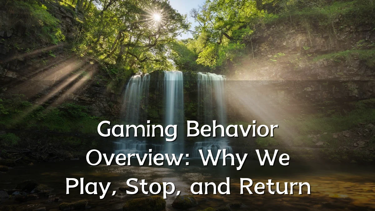 Gaming Behavior Overview: Why We Play, Stop, and Return