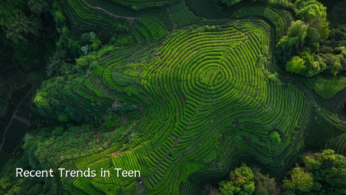 Recent Trends in Teen