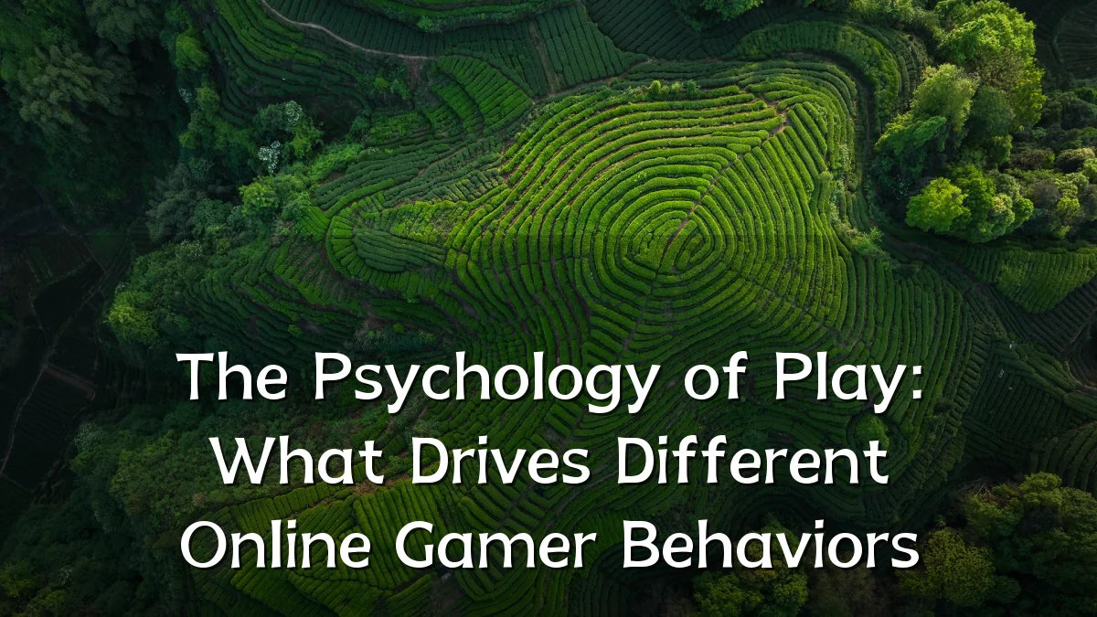 The Psychology of Play: What Drives Different Online Gamer Behaviors