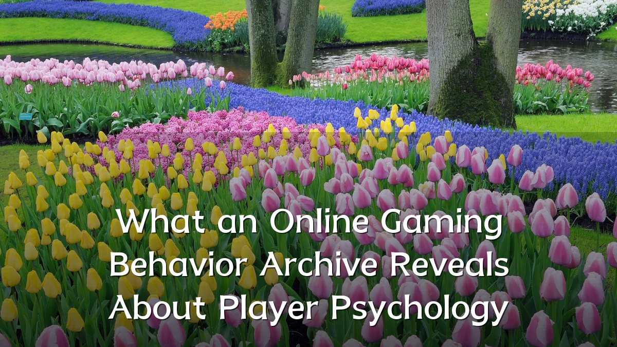 What an Online Gaming Behavior Archive Reveals About Player Psychology