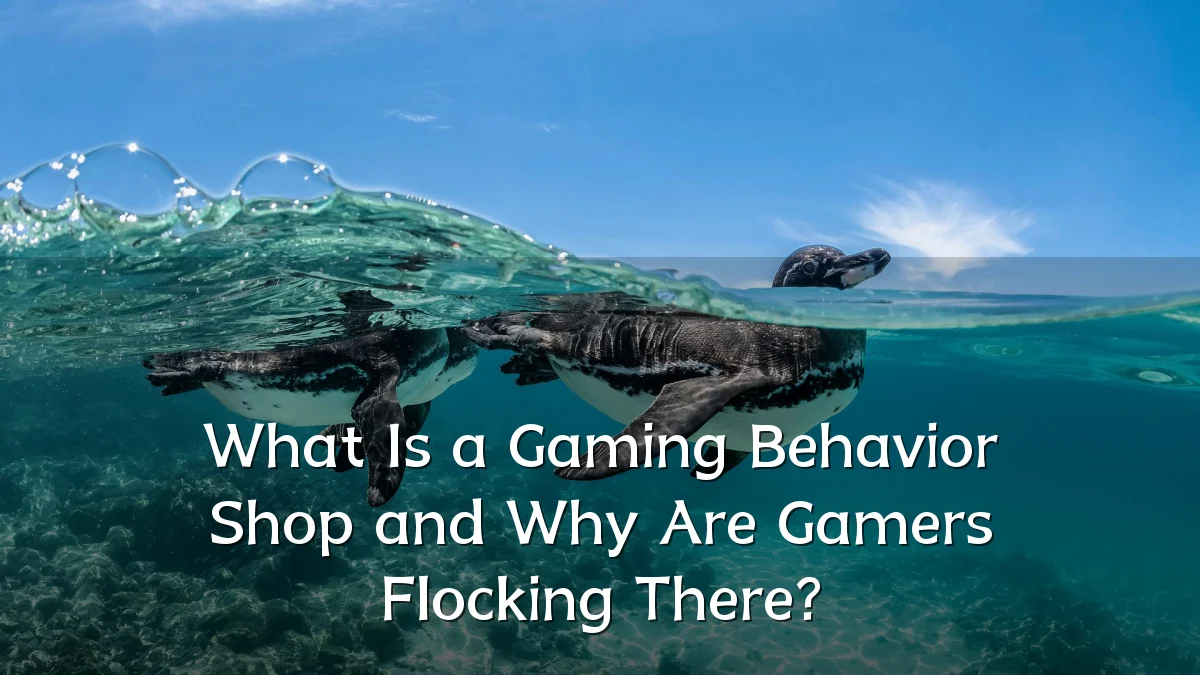 What Is a Gaming Behavior Shop and Why Are Gamers Flocking There?