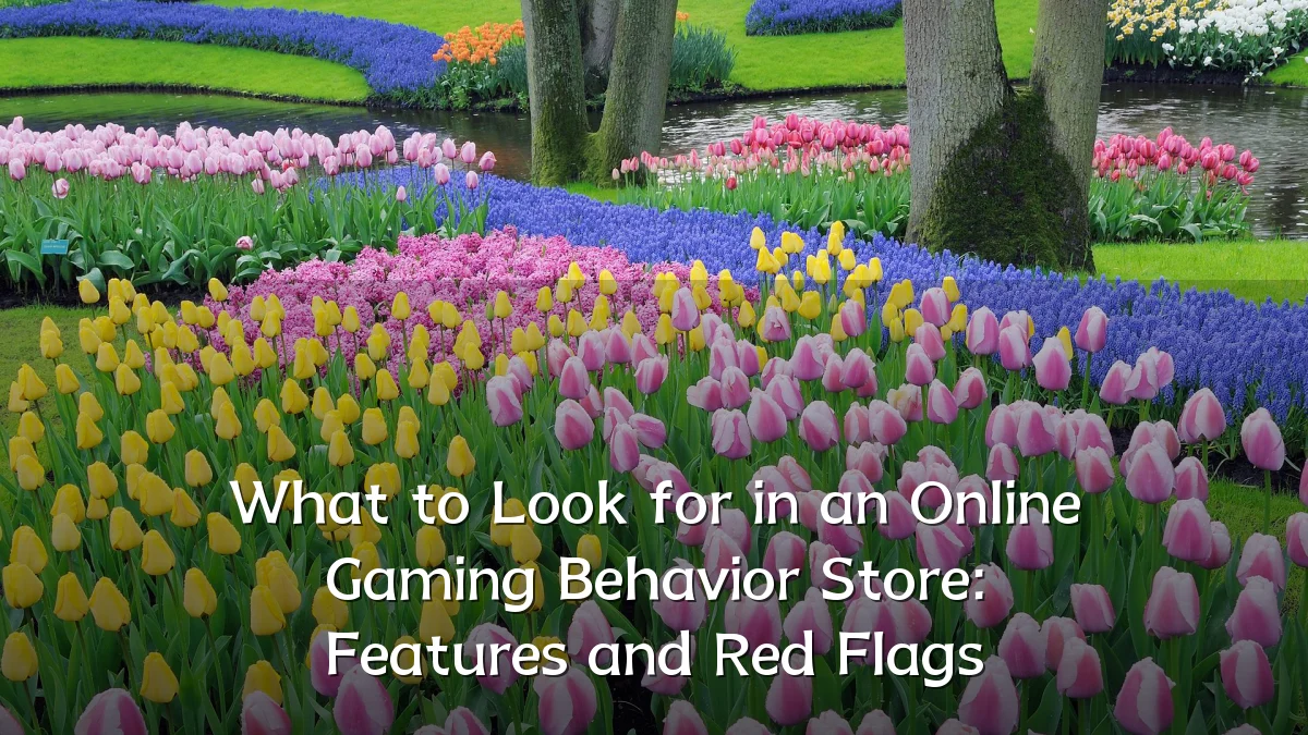 What to Look for in an Online Gaming Behavior Store: Features and Red Flags