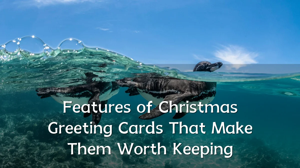Features of Christmas Greeting Cards That Make Them Worth Keeping