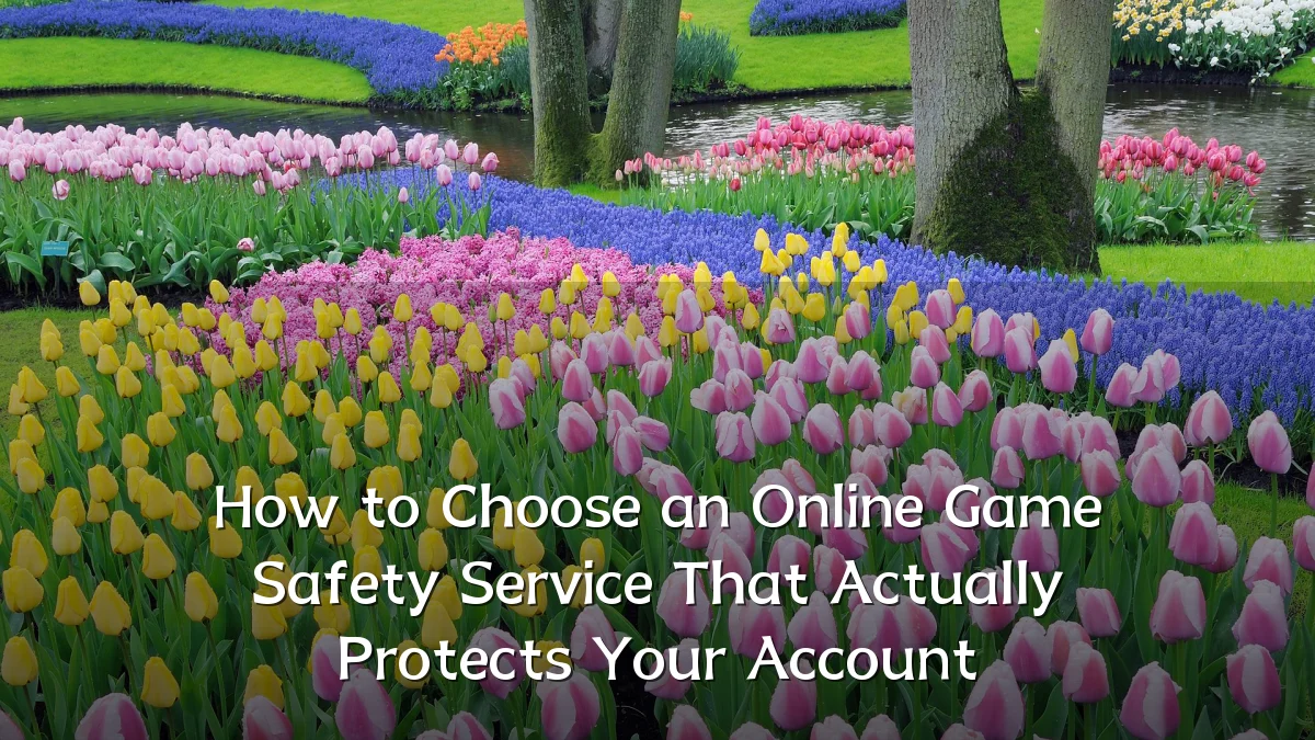 How to Choose an Online Game Safety Service That Actually Protects Your Account