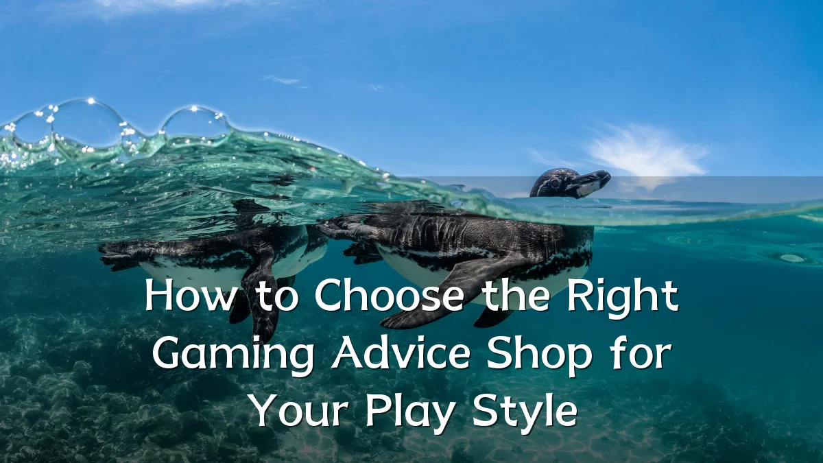 How to Choose the Right Gaming Advice Shop for Your Play Style