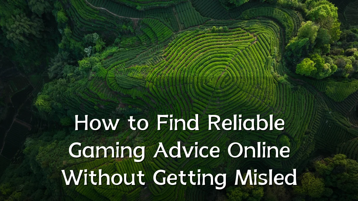 How to Find Reliable Gaming Advice Online Without Getting Misled
