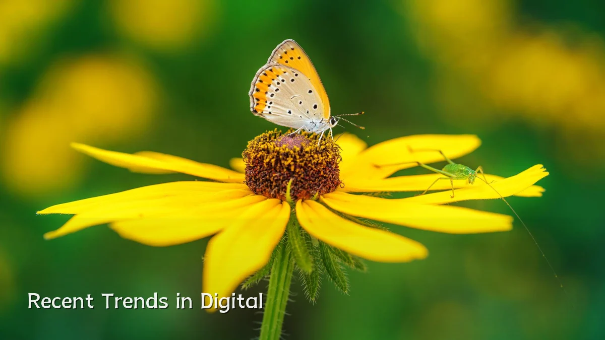 Recent Trends in Digital