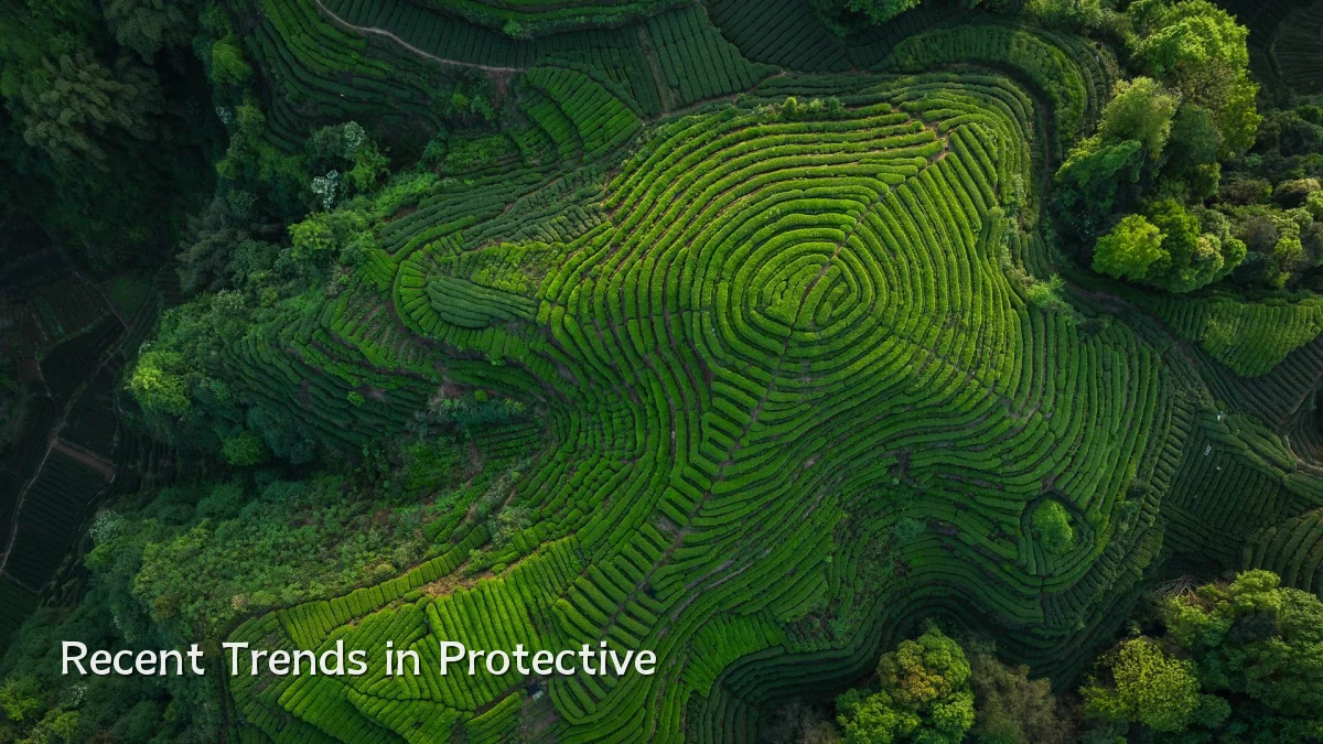 Recent Trends in Protective
