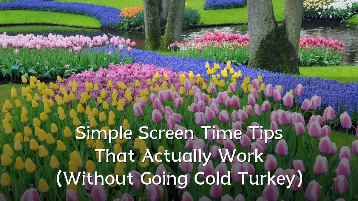 Simple Screen Time Tips That Actually Work (Without Going Cold Turkey)
