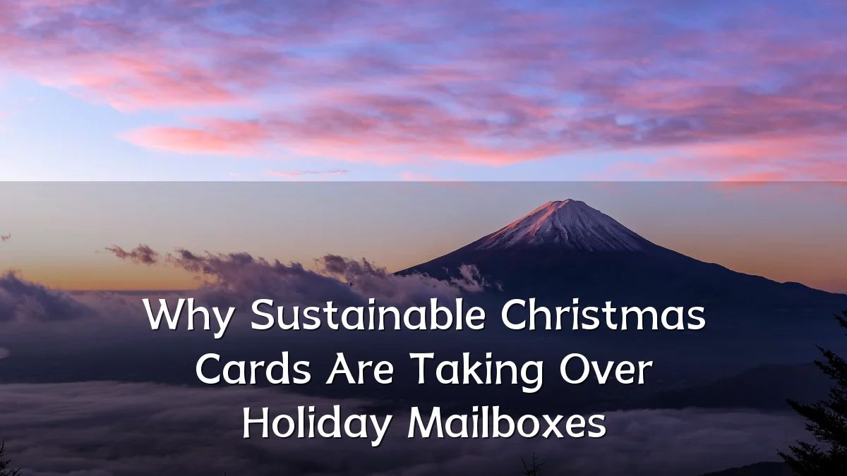 Why Sustainable Christmas Cards Are Taking Over Holiday Mailboxes